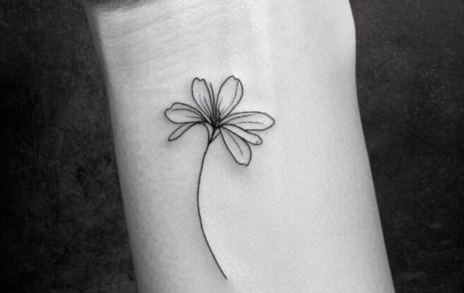 Fine Line flores 2